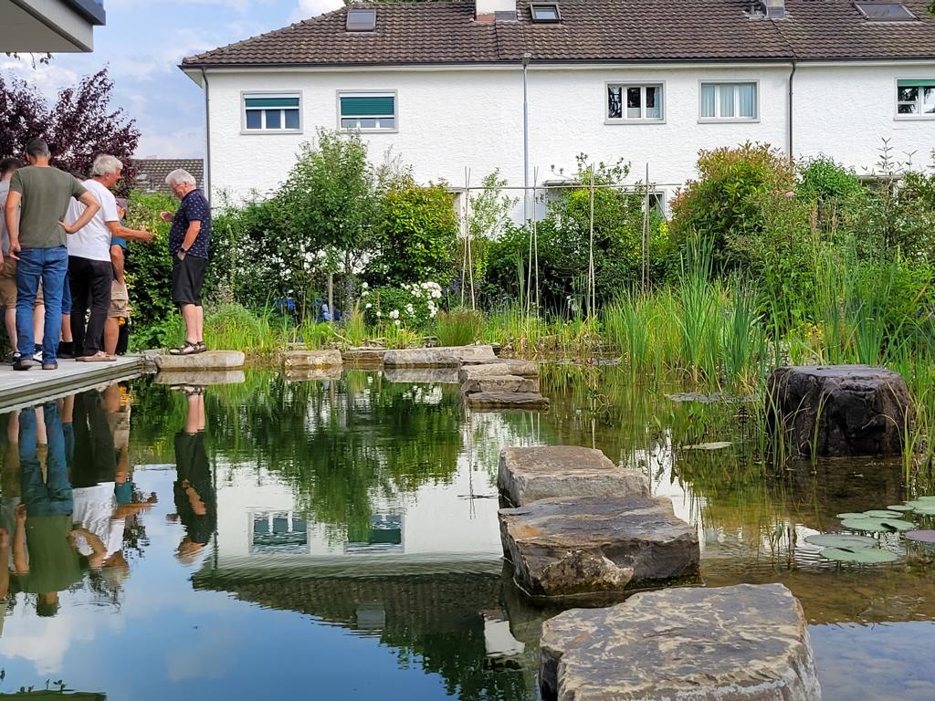 Schwimmteich Kat 3